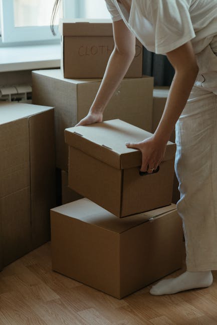 A man with curly hair and a beard, dressed in a blue shirt and dark trousers, is sitting on a wooden floor inside a room with large arched windows that allow natural daylight to illuminate the space. He is surrounded by several packed cardboard boxes, some sealed with red packing tape, indicating they are ready for moving or transport. Behind him, on the windowsill, there are additional cardboard boxes stacked, prepared for a home relocation or furniture transport process. The room features minimalist decor, including a tall potted plant near the window, adding a touch of greenery. Outside the windows, a street with parked cars and modern residential buildings is visible. The scene appears to be part of a professional removal or moving service setup, consistent with services offered by companies like Man with Van Thamesmead, supporting packing, loading, and logistics for house removals.
